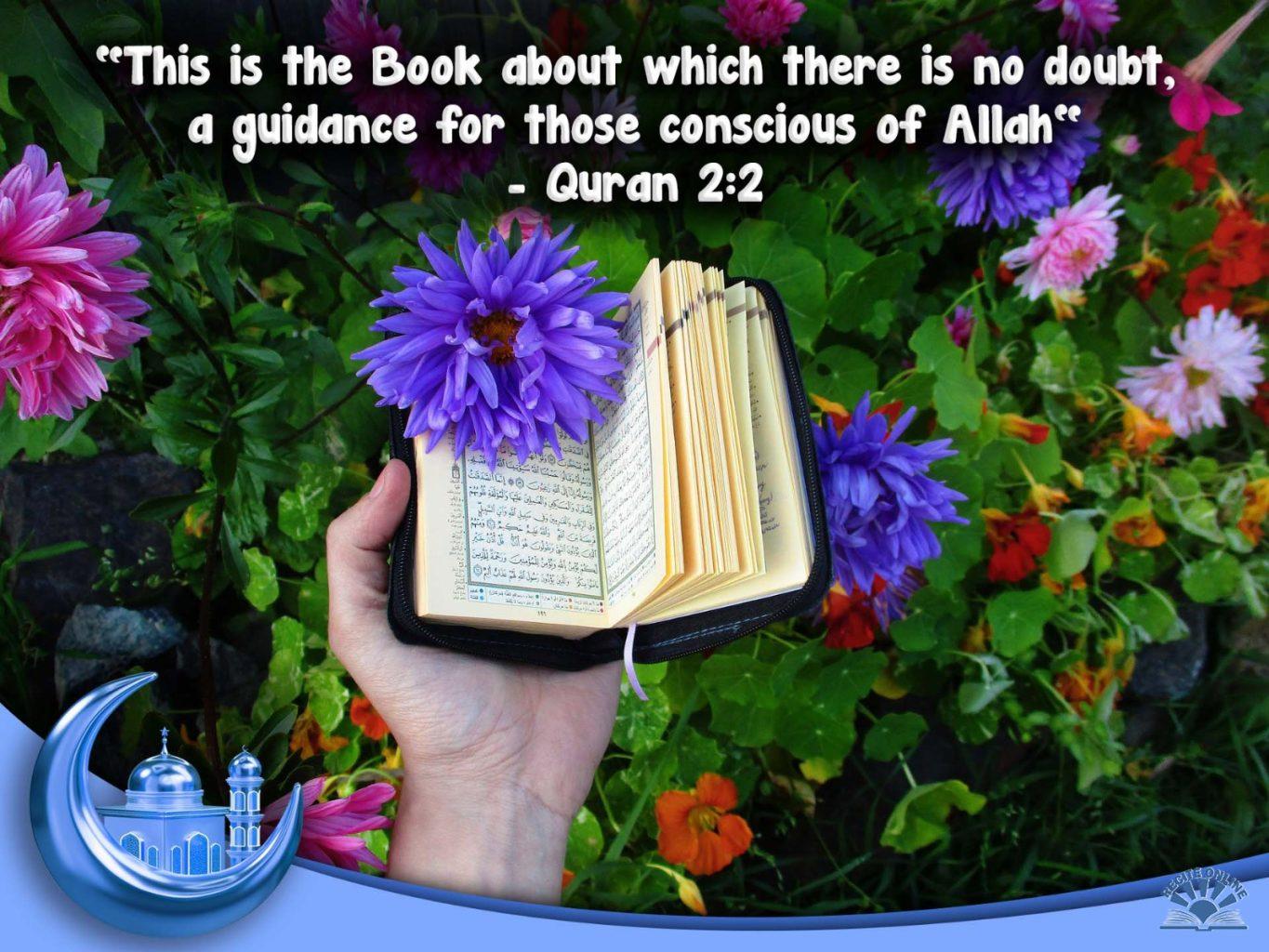 Online Quran Learning